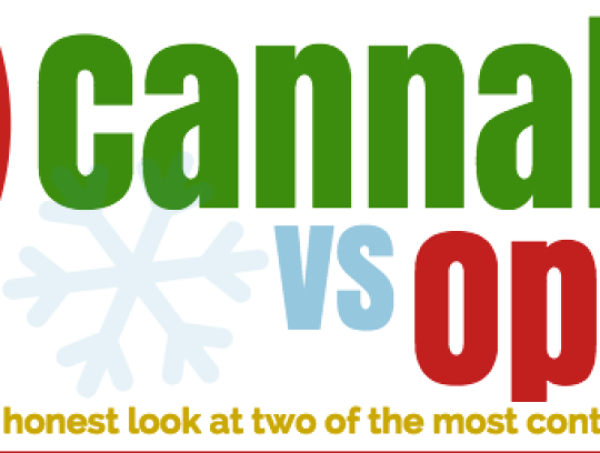 Cannabis vs. Opiates 2015 (Infographic)