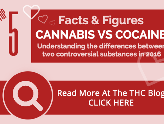 Cannabis Vs Cocaine 2016 (Infographic)