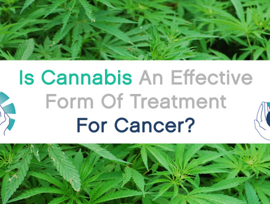 Is Cannabis An Effective Form Of Treatment For Cancer?