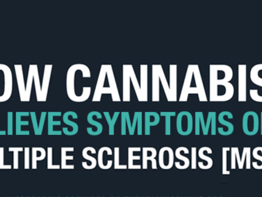 Infographic | How Cannabis Relieves Symptoms of Multiple Sclerosis (MS)